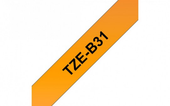 TZEB31